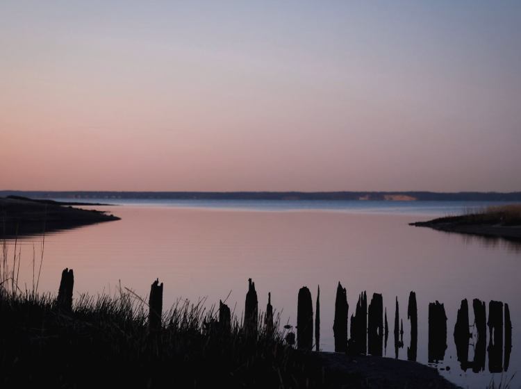 Costa del río al atardecer